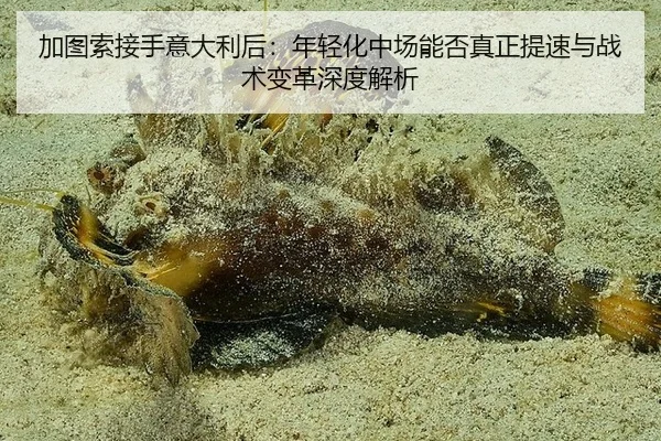加图索接手意大利后：年轻化中场能否真正提速与战术变革深度解析