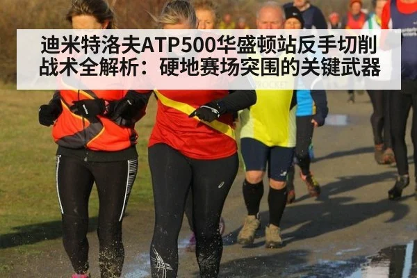 迪米特洛夫ATP500华盛顿站反手切削战术全解析：硬地赛场突围的关键武器