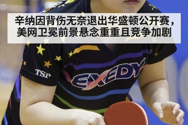 辛纳因背伤无奈退出华盛顿公开赛，美网卫冕前景悬念重重且竞争加剧